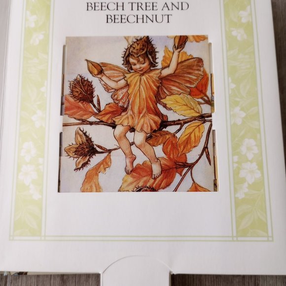 The Flower Fairies Changing Seasons: A Sliding Picture Book (Flower Fairies) - Picture 5 of 5